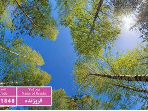 قیمت آسمان مجازی سه بعدی[آراد]