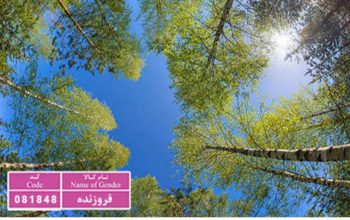 قیمت آسمان مجازی سه بعدی[آراد]