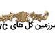 تصویر نمایه