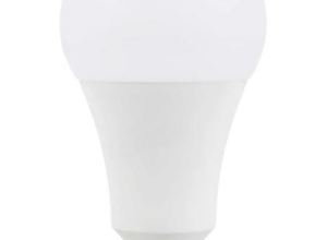 قیمت لامپ اس ام دی ۱۰ وات H/10 پایه E27[پارس شوان]