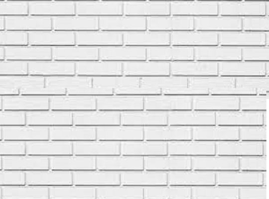 قیمت آجر سفید s100w[روبینا]