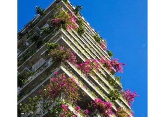 قیمت اجرای تراس گاردن[اسپینگر]