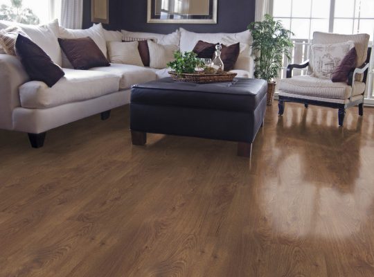 قیمت پارکت البانیA01[وینیفلکس]
