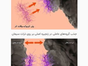 قیمت ابر روان کننده پایه پلی کربوکسیلات اتر[البرز]